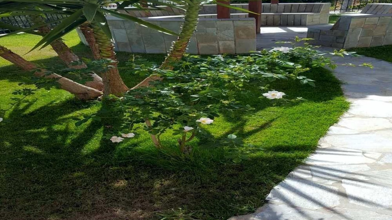 Photo of Outdoor in Anavyssos
