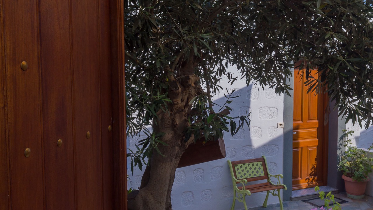 Photo of Others in Chora