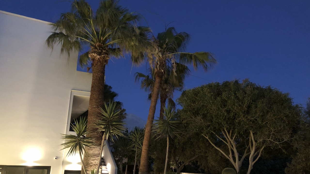 Photo of Outdoor in Kamari