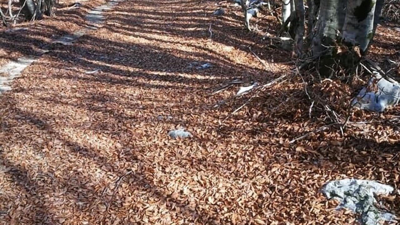 Photo of Outdoor in Cetinje