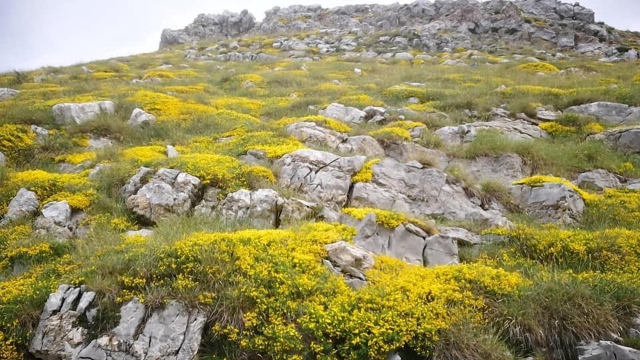 Photo of Outdoor in Cetinje