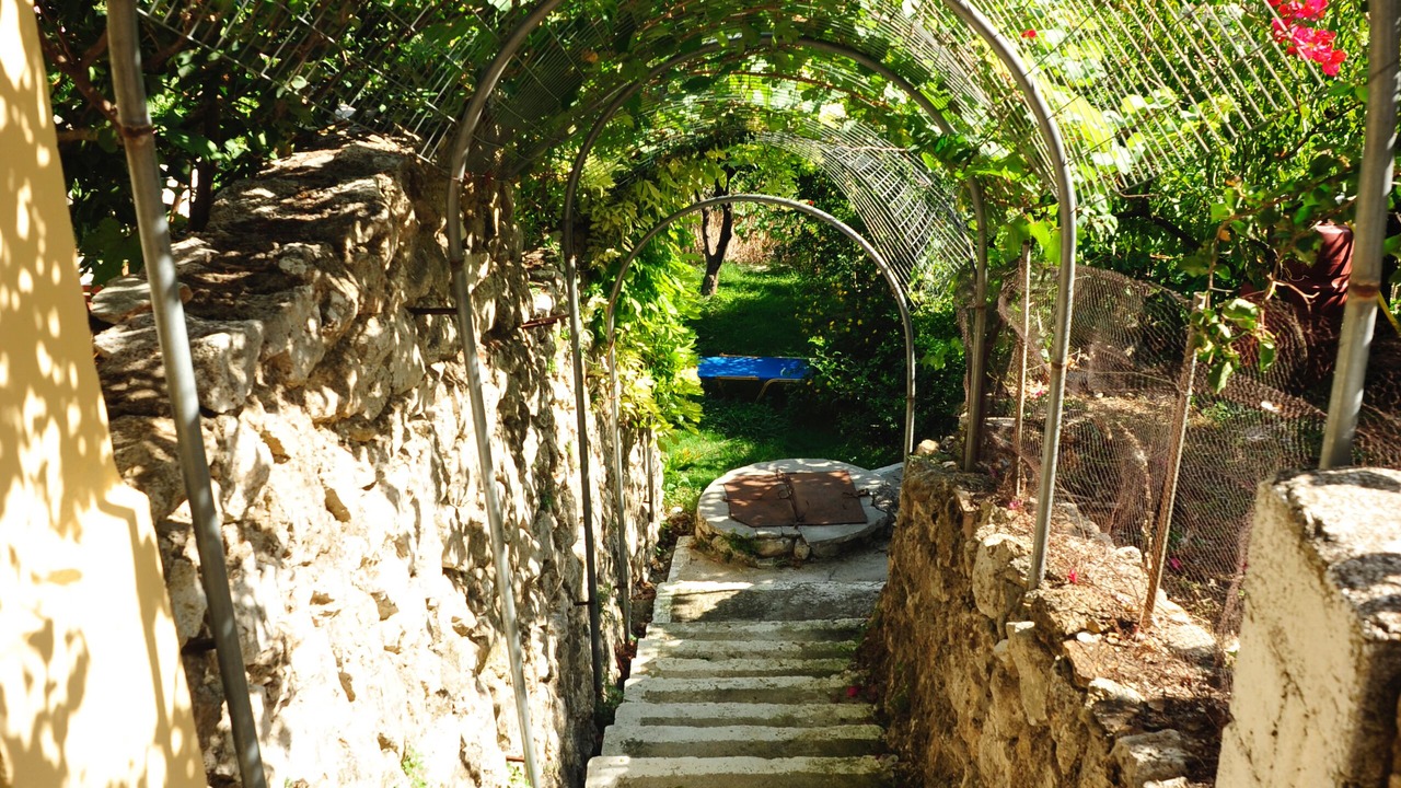 Photo of Outdoor in Ano Korakiana
