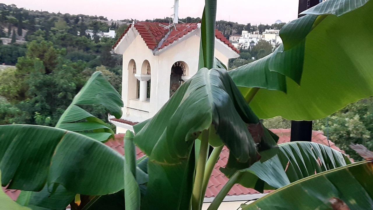 Photo of Outdoor in Thissio