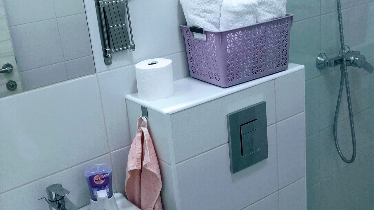 Photo of Bathroom in Petrovac