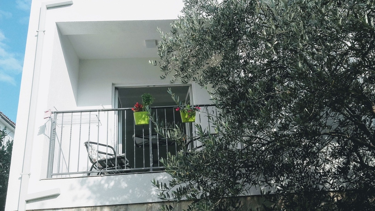 Photo of Others in Petrovac