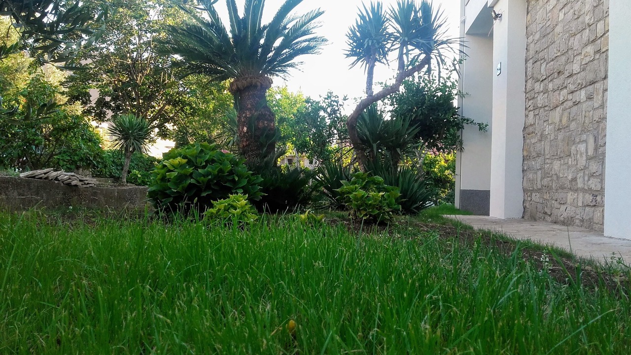 Photo of Outdoor in Petrovac