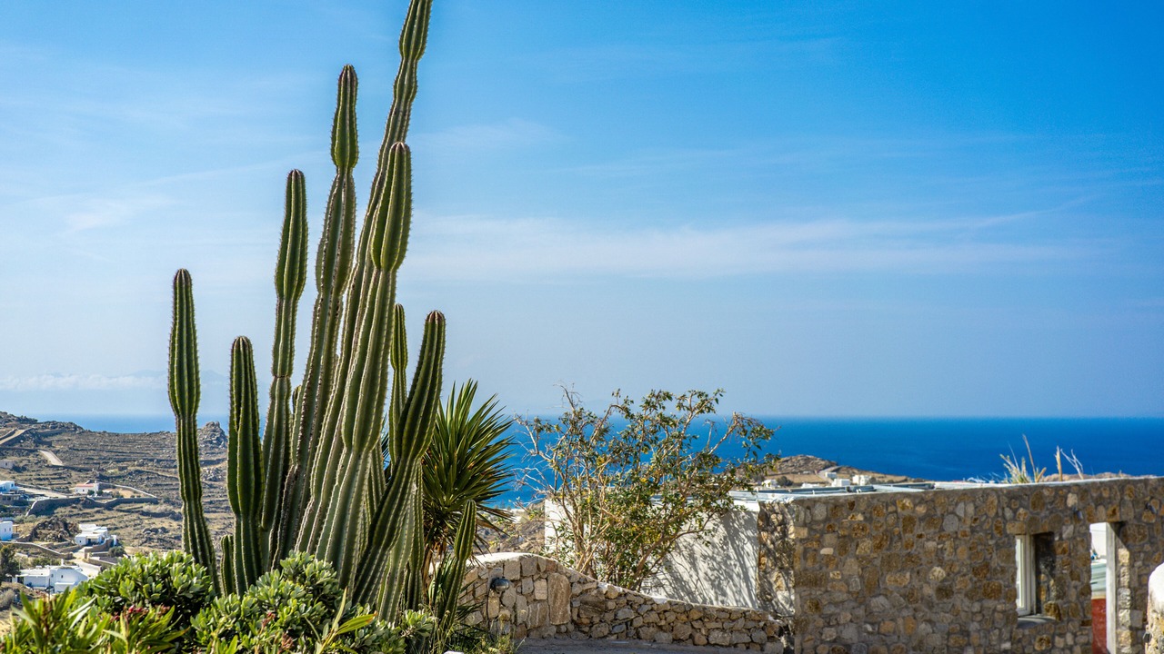 Photo of Outdoor in Plintri