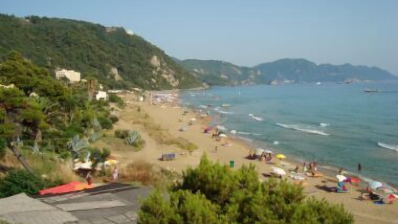 Photo of Others in Parelia