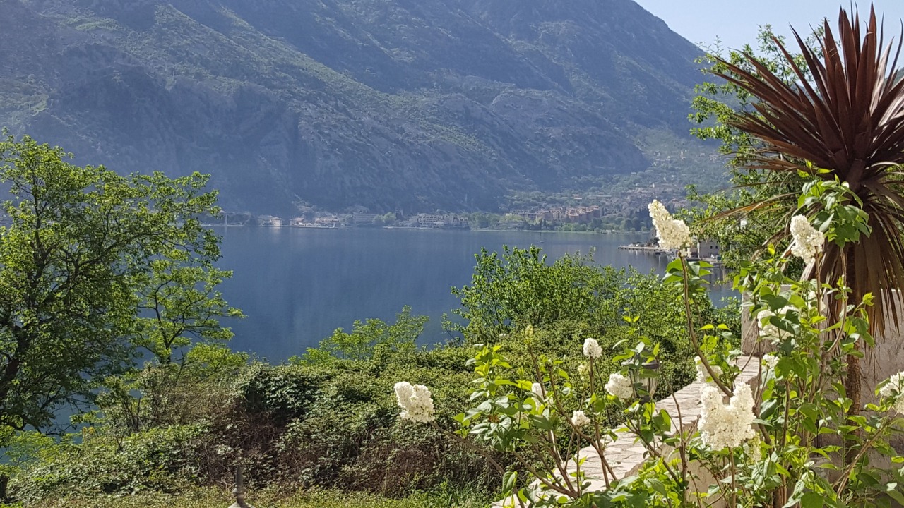 Photo of Others in Kotor