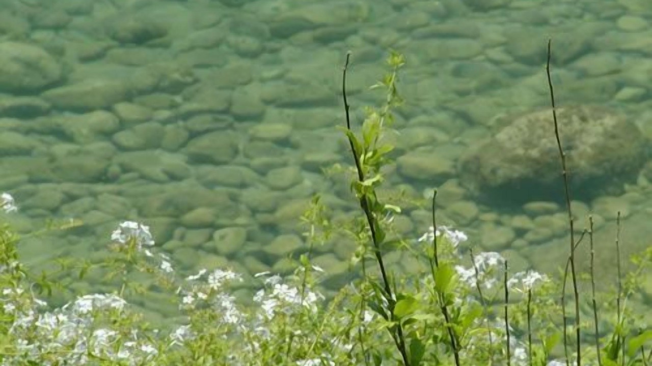 Photo of Outdoor in Barbati