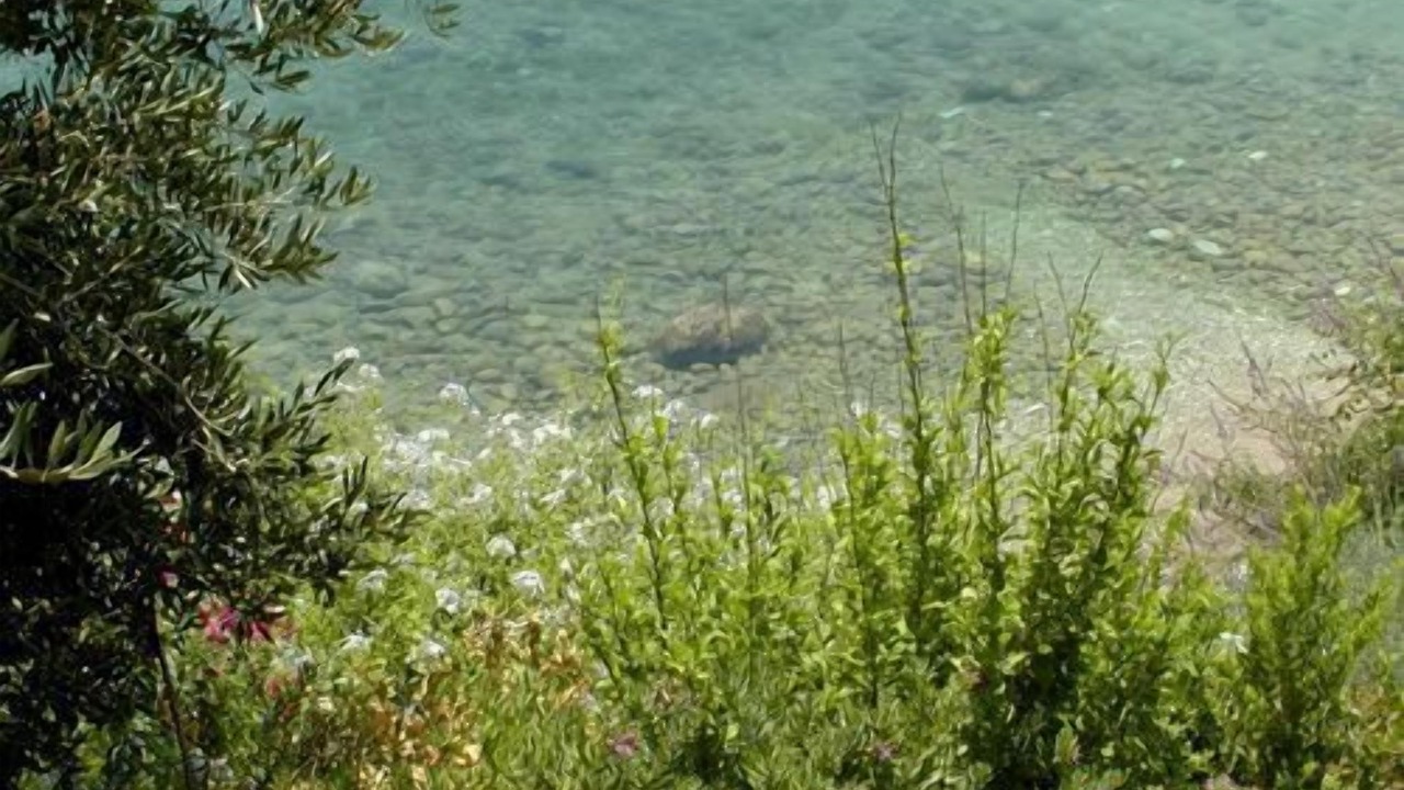 Photo of Outdoor in Barbati