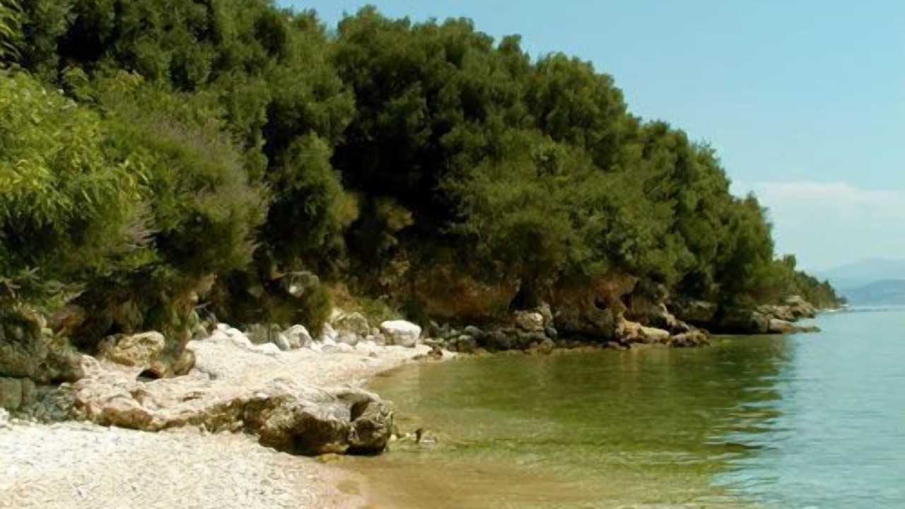 Photo of Others in Barbati