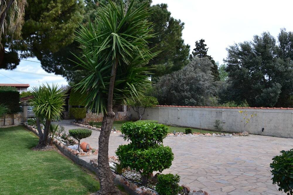 Photo of Outdoor in Marathon