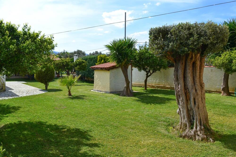 Photo of Outdoor in Marathon