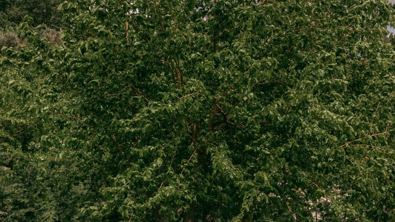 Photo of Outdoor in Susanj