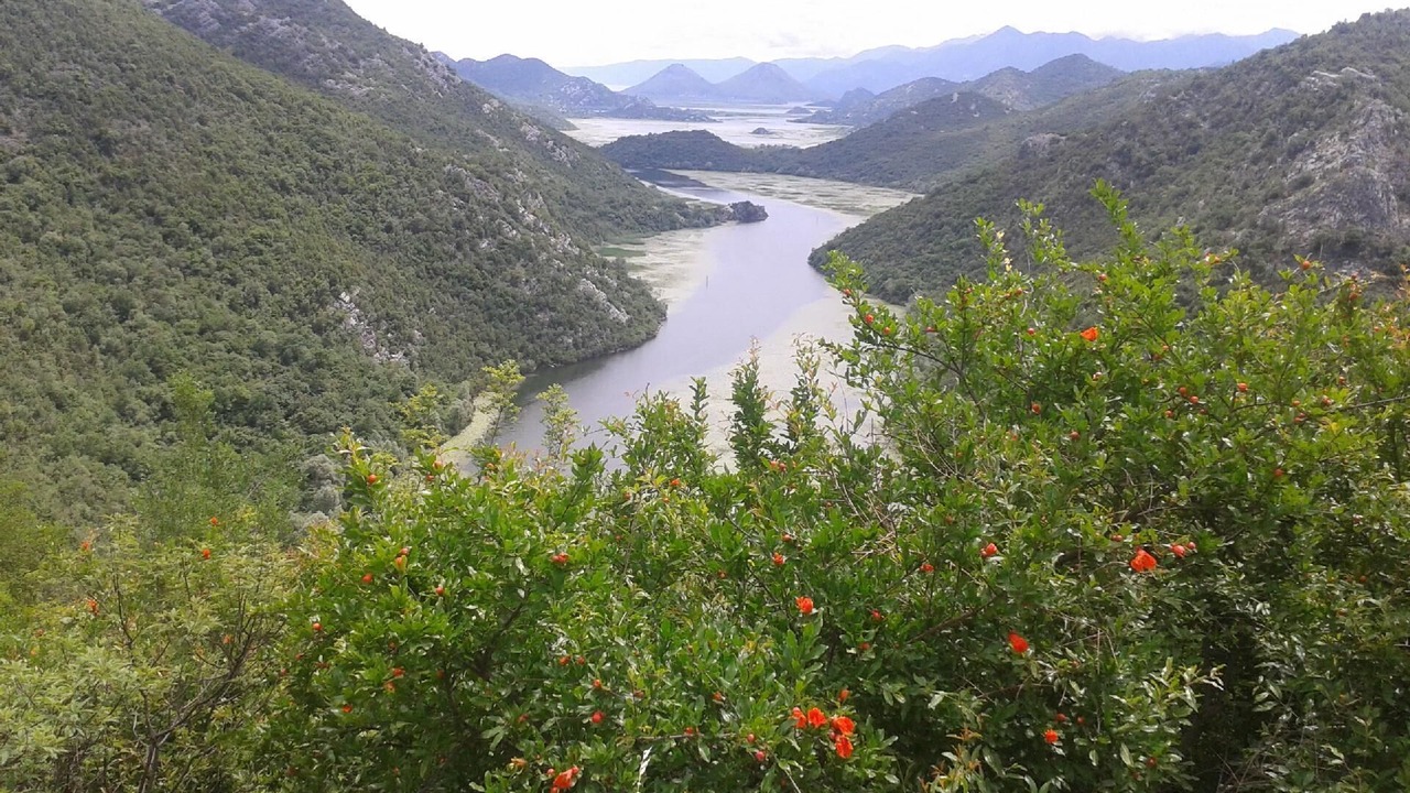 Photo of Outdoor in Karuc