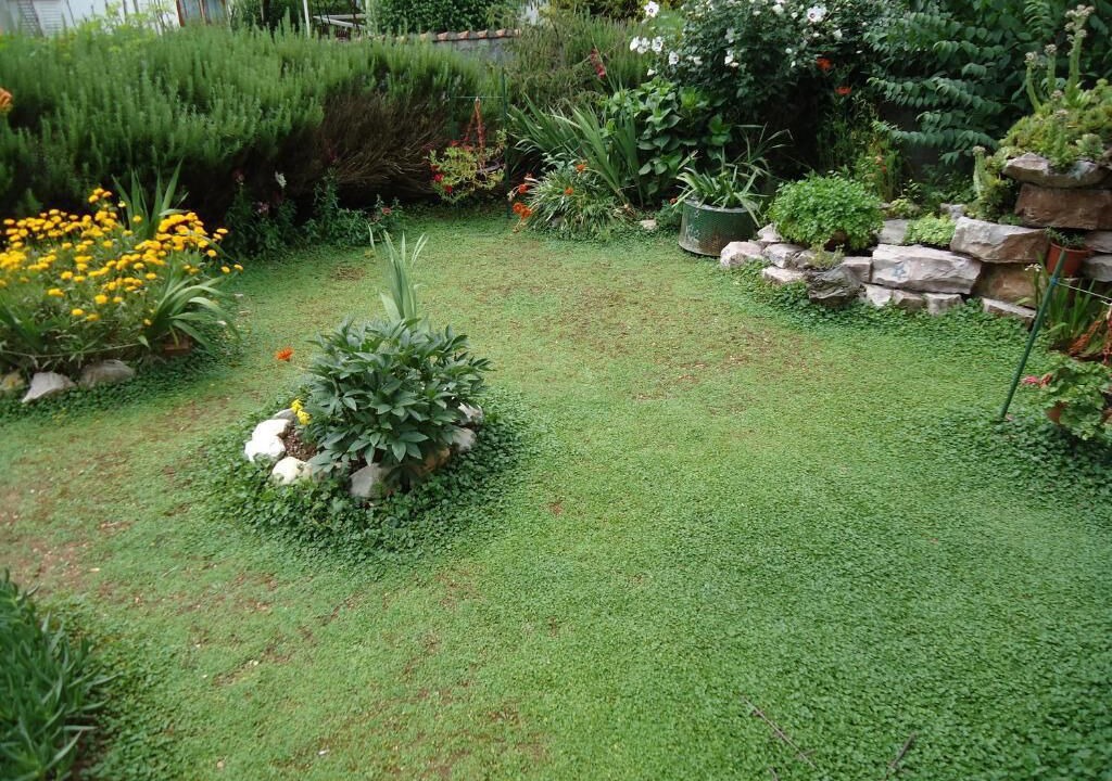 Photo of Outdoor in Zelenika