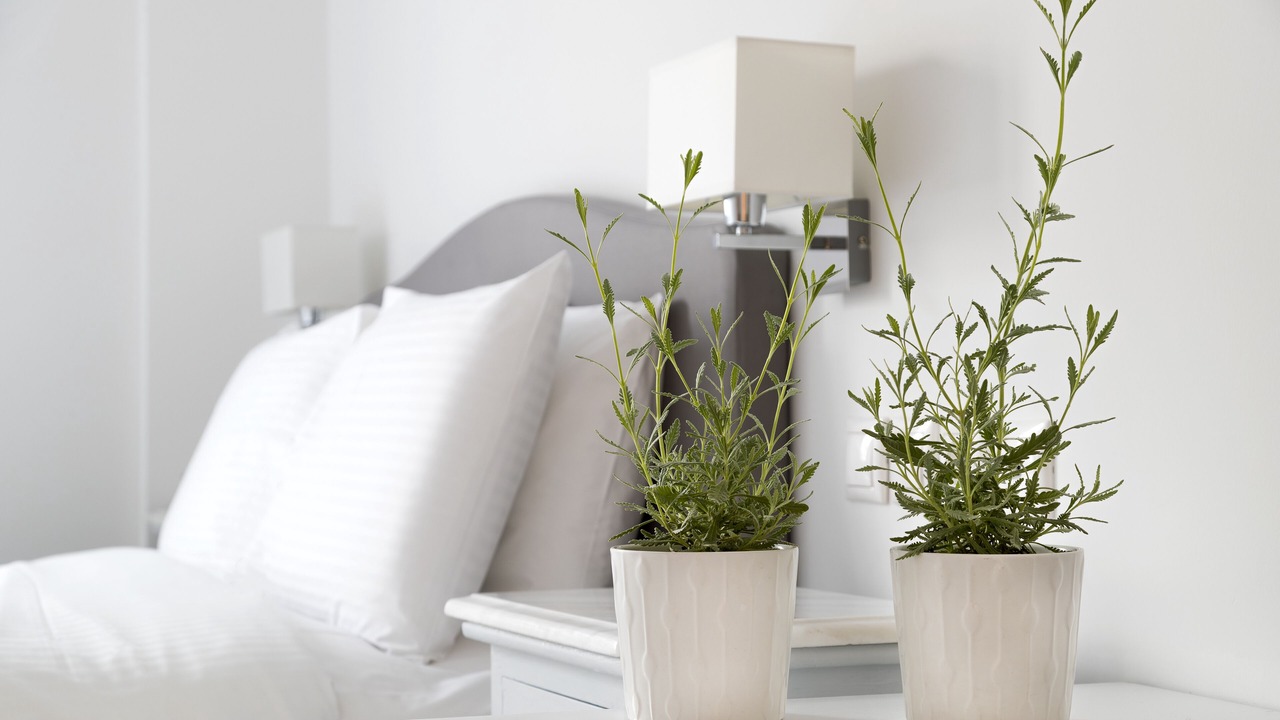 Photo of Bedroom in Spetses