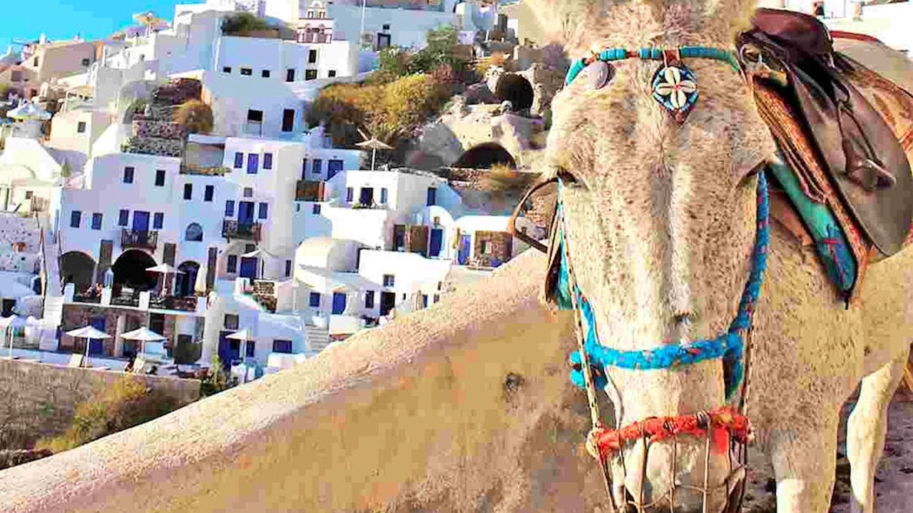 Photo of Others in Ampelas