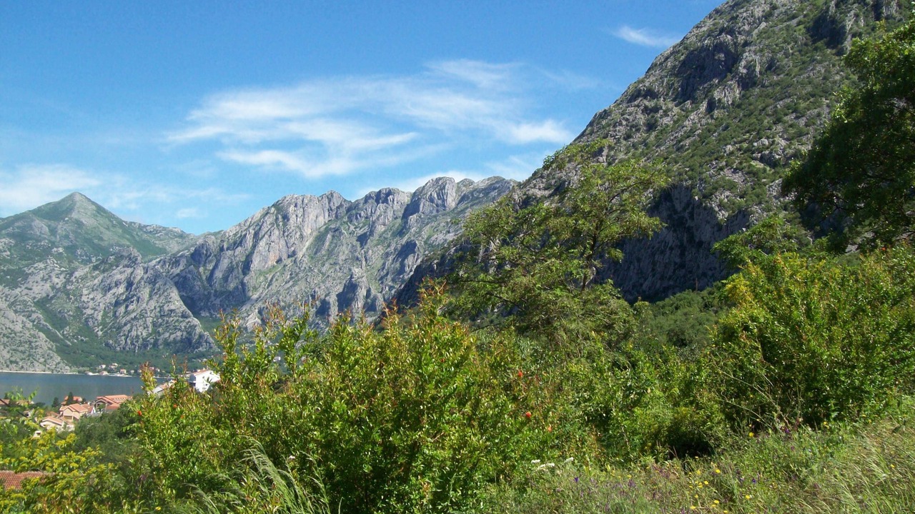 Photo of Others in Dobrota