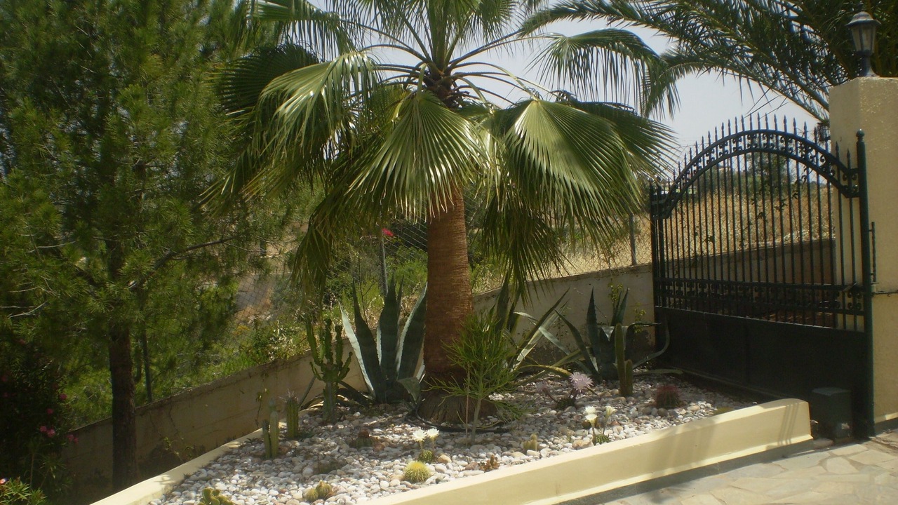 Photo of Outdoor in Kilada