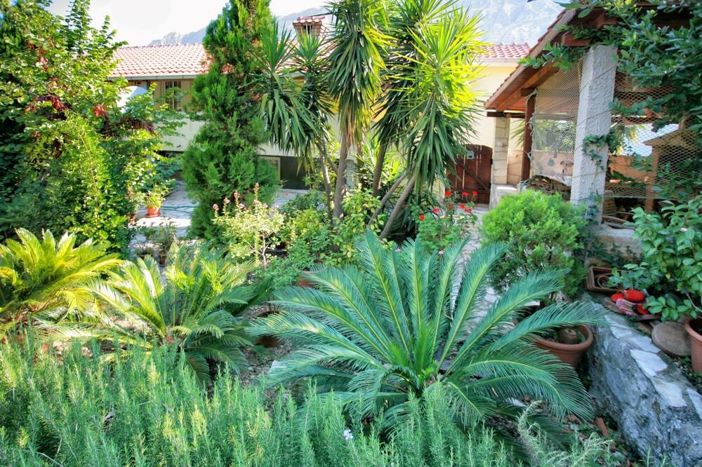Photo of Outdoor in Muo