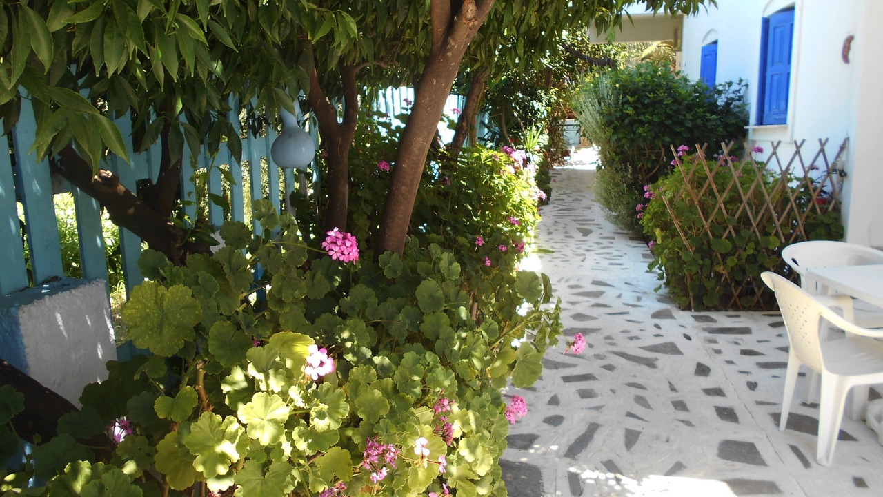 Photo of Outdoor in Marathokampos