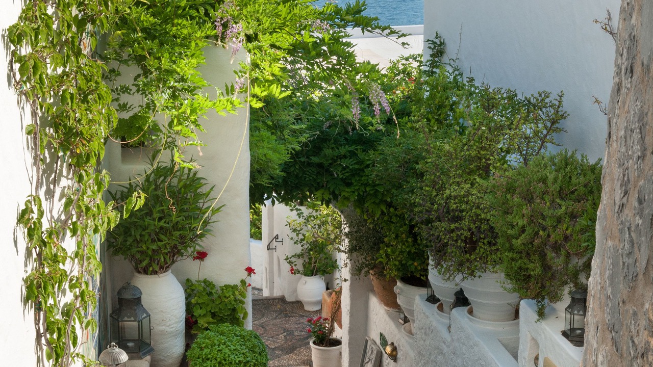 Photo of Outdoor in Lindos