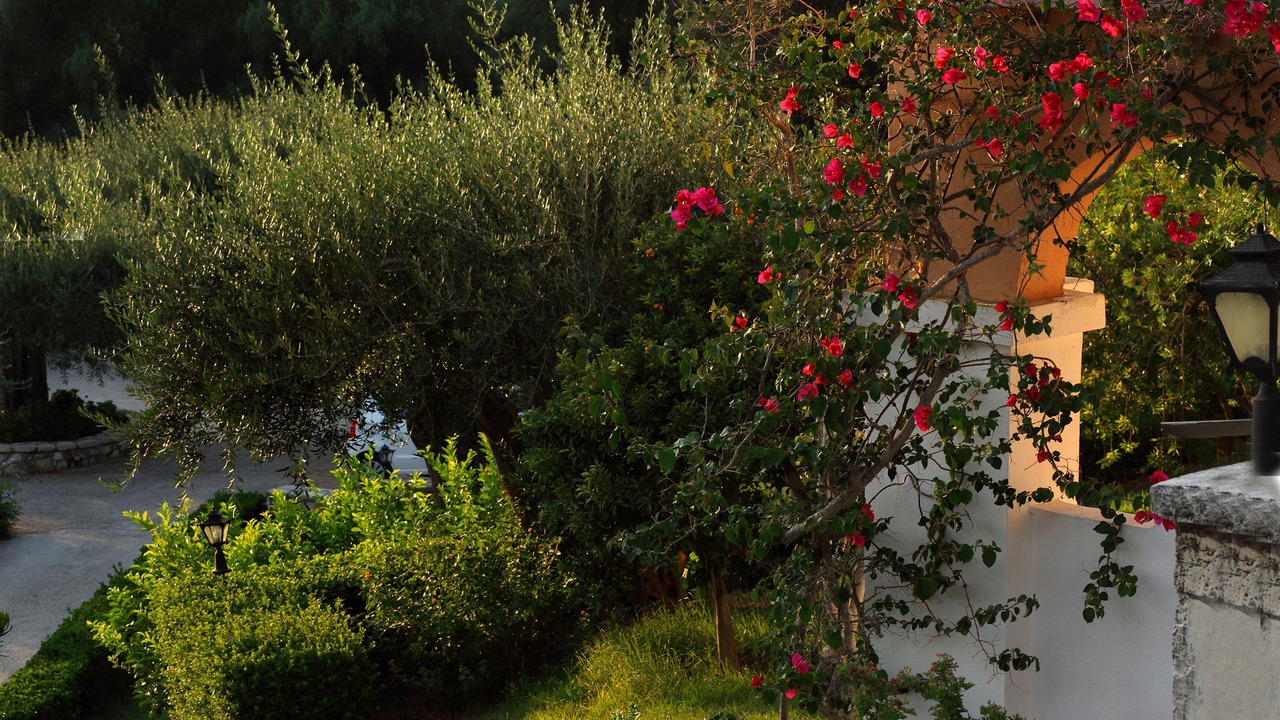 Photo of Outdoor in Limni