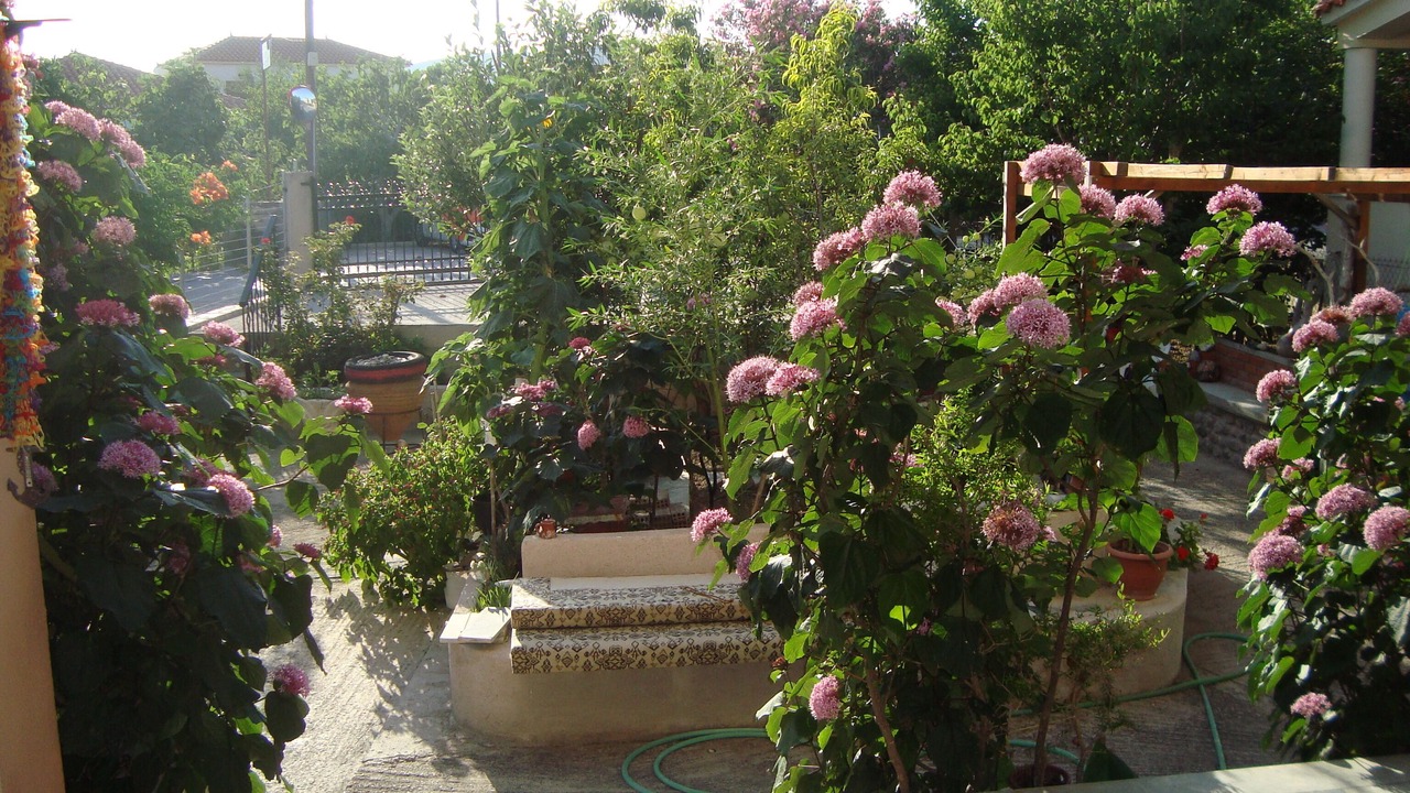 Photo of Others in Skala Eresou