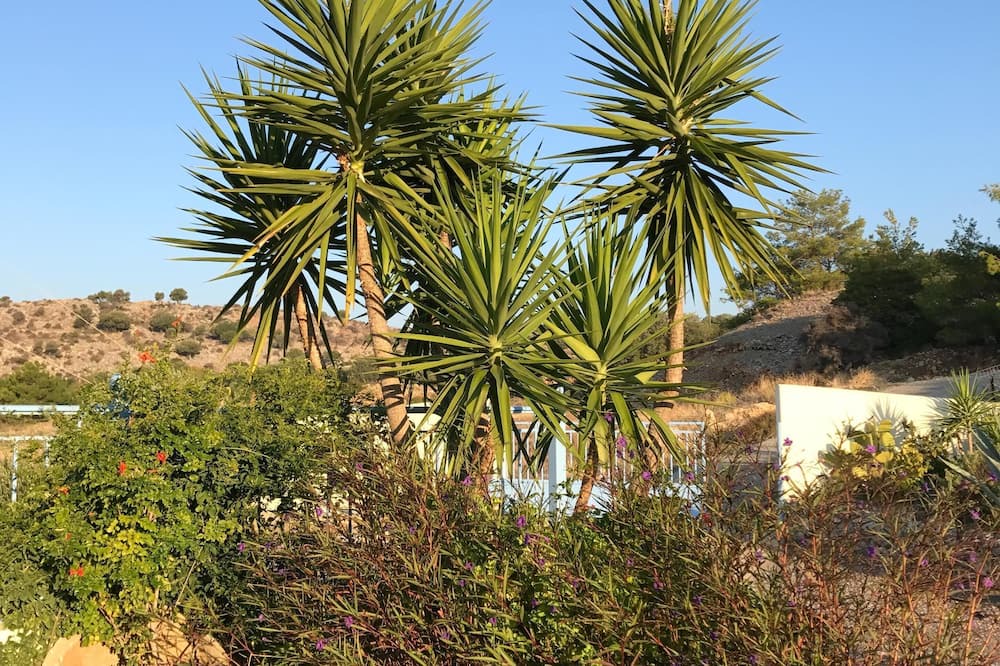 Photo of Outdoor in Lardos