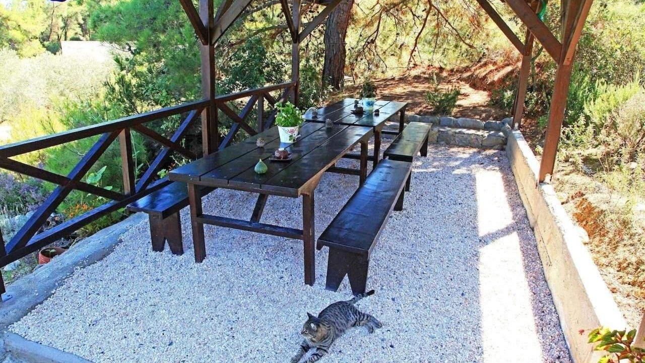 Photo of Outdoor in Aristotelis