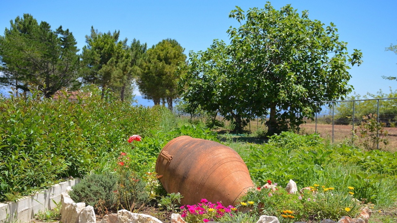 Photo of Outdoor in Melikia