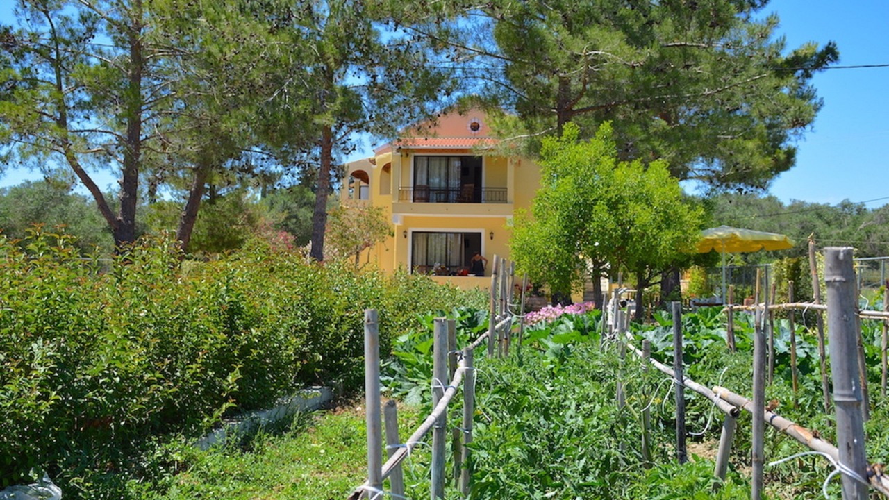 Photo of Outdoor in Melikia