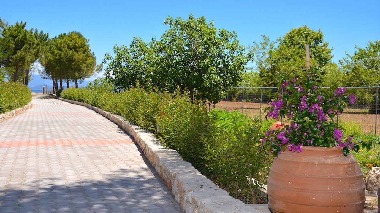 Photo of Outdoor in Melikia