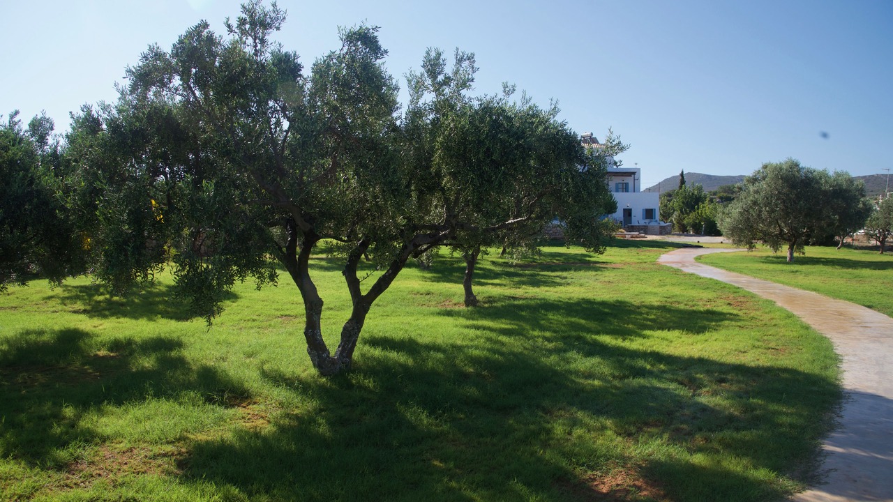 Photo of Outdoor in Elafonisos