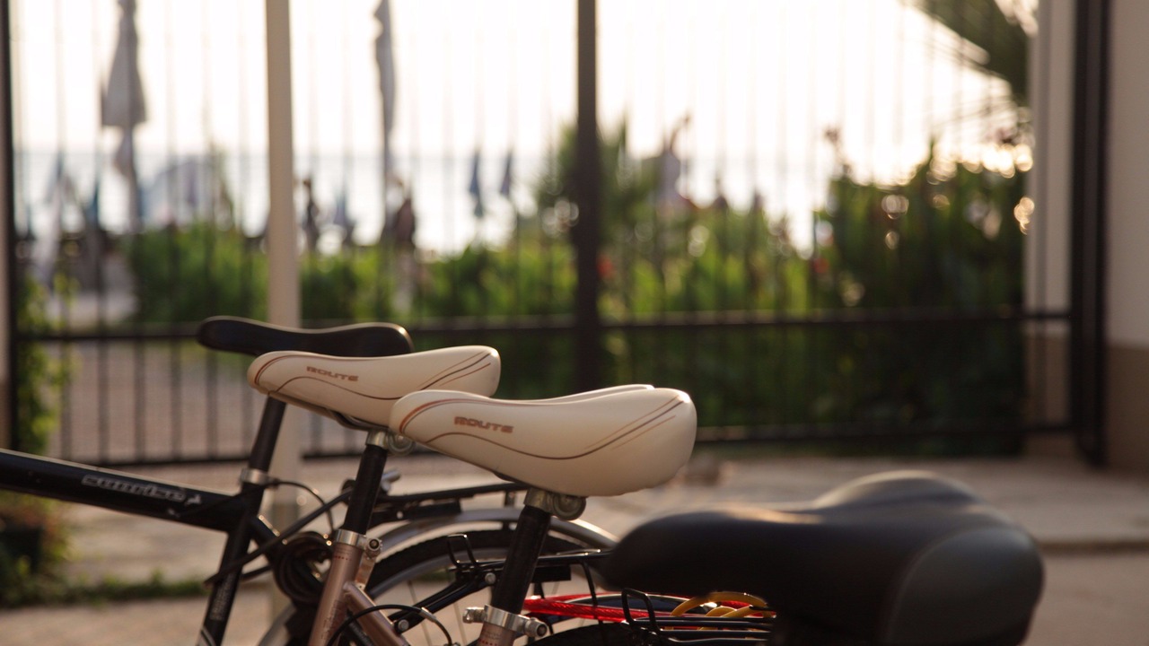 Photo of Outdoor in Bar