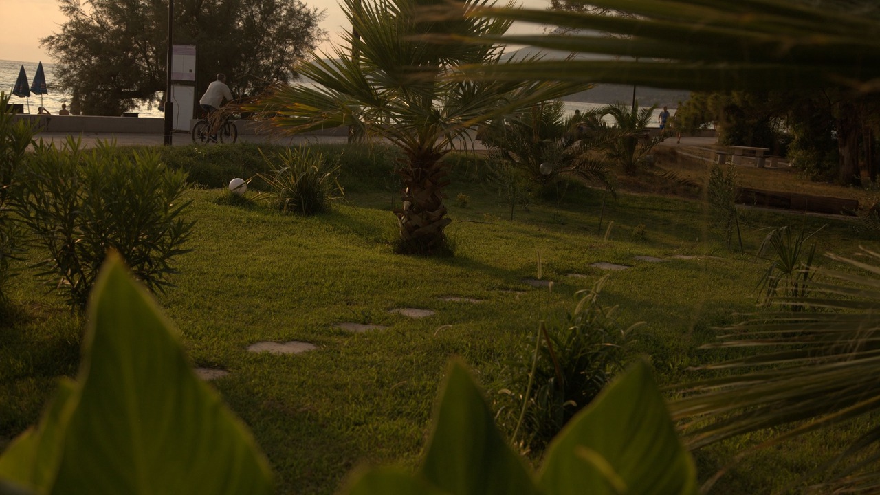 Photo of Outdoor in Bar