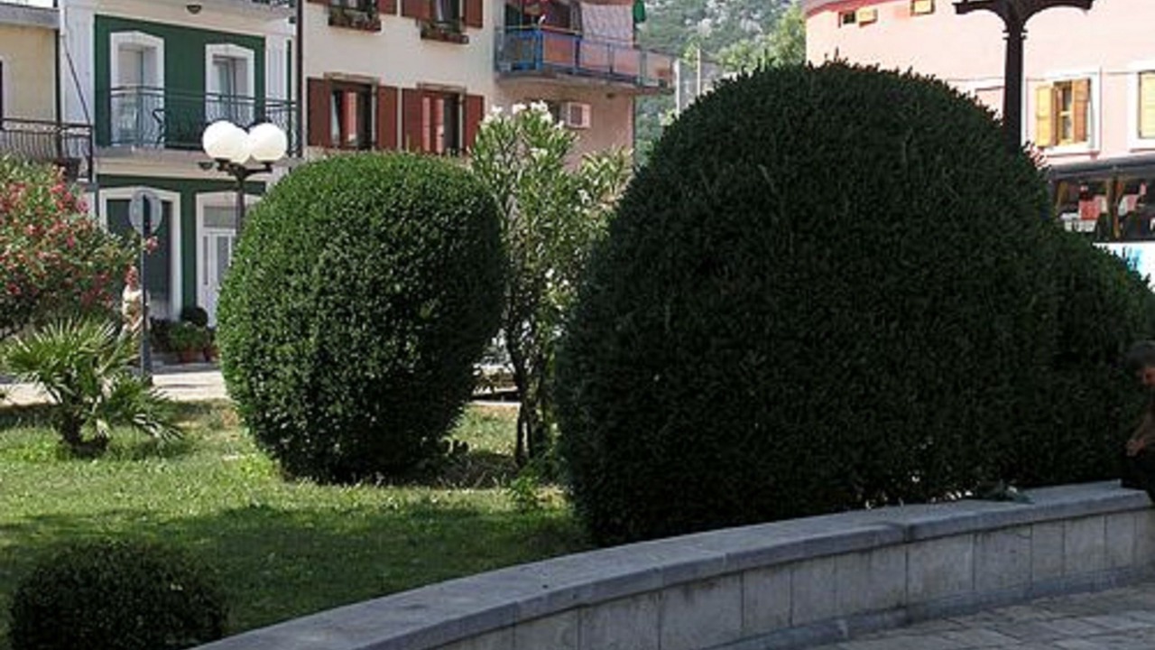 Photo of Outdoor in Virpazar