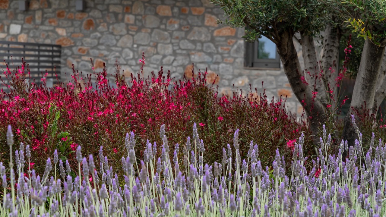 Photo of Outdoor in Skiathos Town