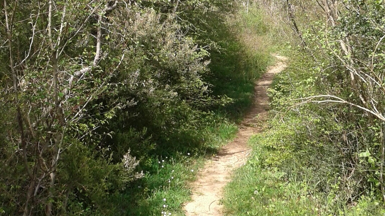 Photo of Outdoor in urmani
