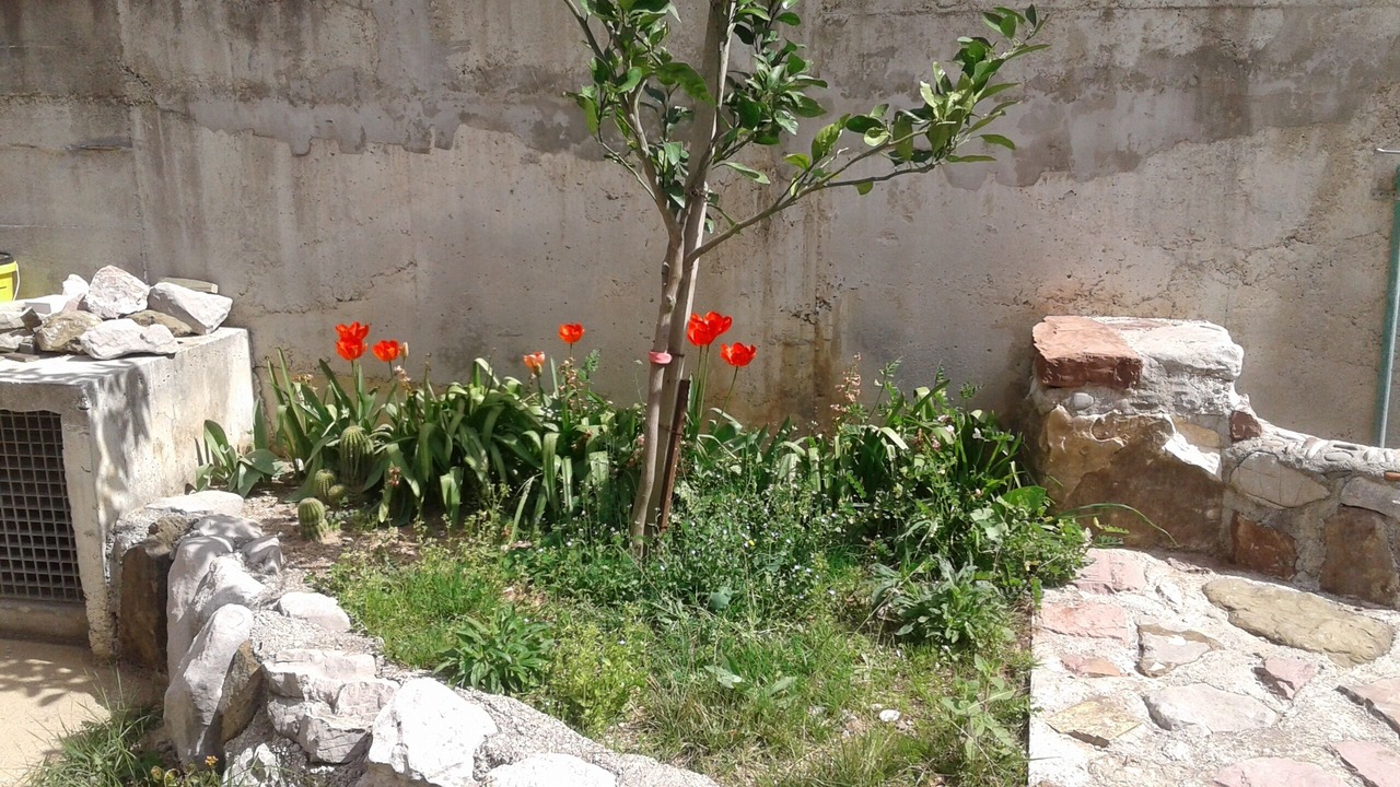Photo of Outdoor in urmani