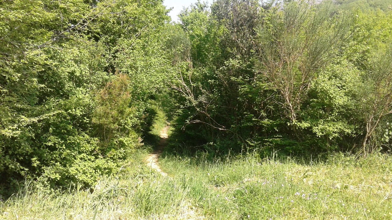 Photo of Outdoor in urmani