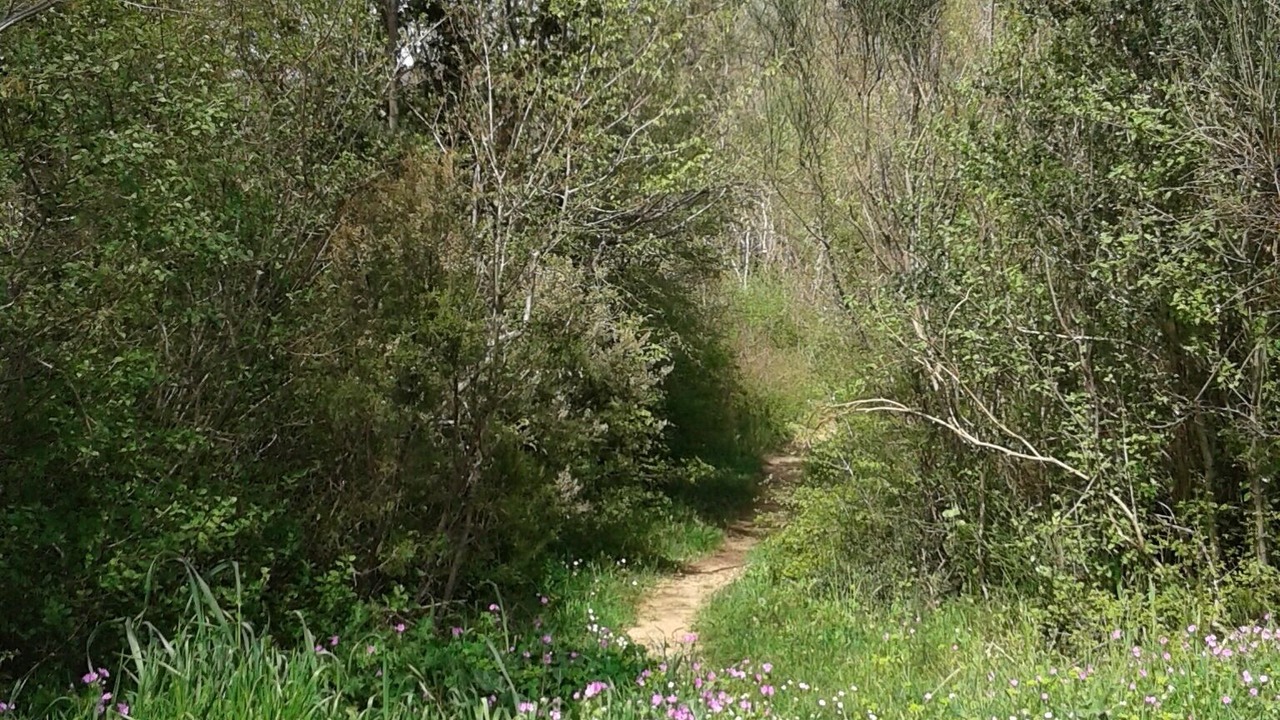 Photo of Outdoor in urmani