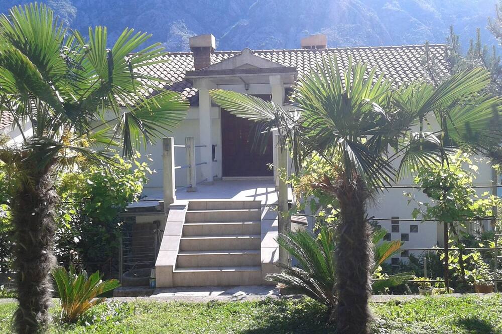 Photo of Others in Kotor