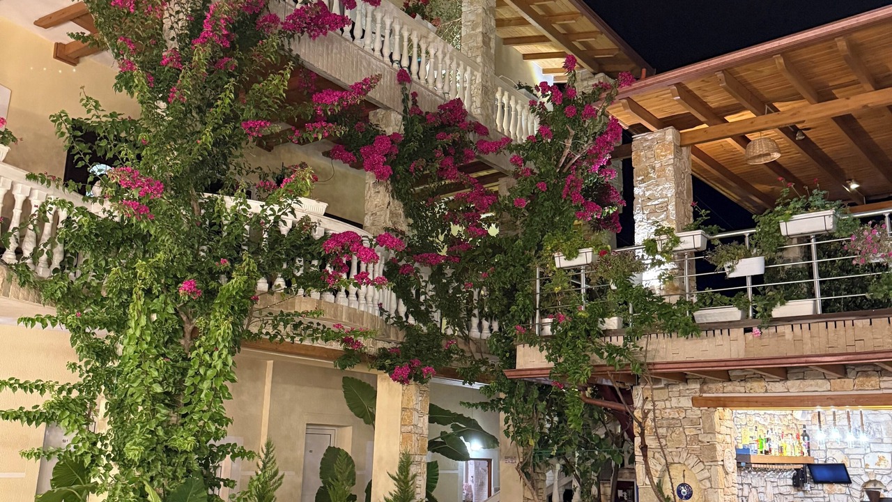 Photo of Outdoor in Vlore
