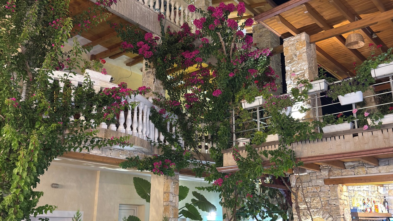 Photo of Outdoor in Vlore