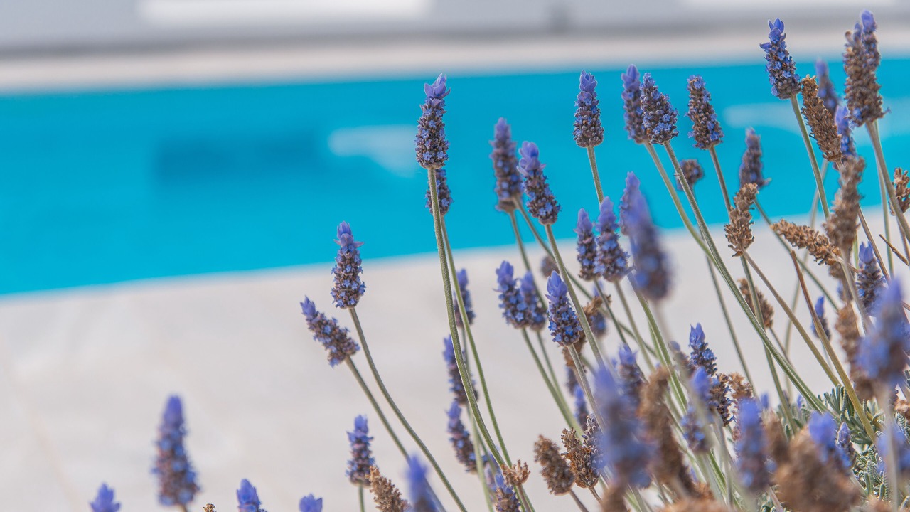 Photo of Outdoor in Agia Paraskevi
