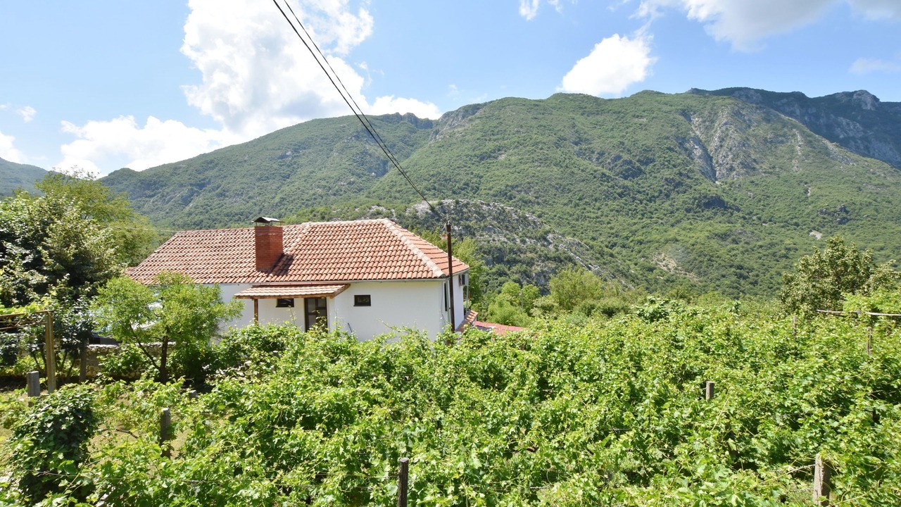 Photo of Others in Limljani