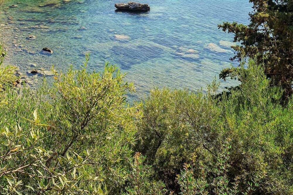 Photo of Others in Kardamyli